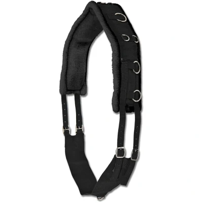 Abbildung von Waldhausen Longiergurt Perlon mit Ringen Pony