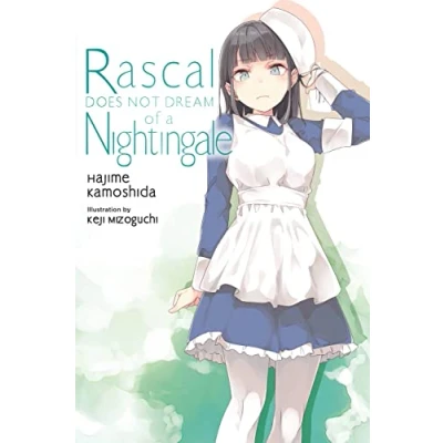 Abbildung von Rascal Does Not Dream, Vol. 11 (light novel): Volume (Rascal 11, Band 11)
