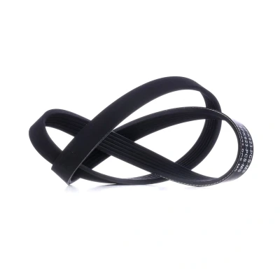 Abbildung von MASTER SPORT 6PK923 PCS MS Keilrippenriemen 923 6 VOLKSWAGEN: GOLF 3, 3 Cabrio, Variant, SEAT: Ibiza Schrägheck, Alhambra I, 2