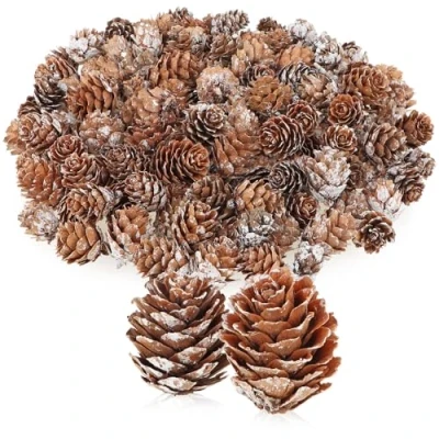 Abbildung von com four® 100x Dekozapfen Lärche Streudeko für Herbst und Winter Zapfendeko kleine Lärchenzapfen Tannenzapfen (100x weiß)