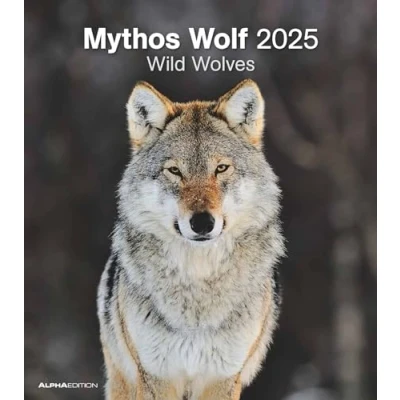 Abbildung von Alpha Edition Mythos Wolf 2025 Bildkalender, 30,x34cm, Kalender mit vielfältigen Aufnahmen aus der Welt Wölfe, Mondphasen, Feiertage DE/AT/CH und internationales Kalendarium: Wild Wolves