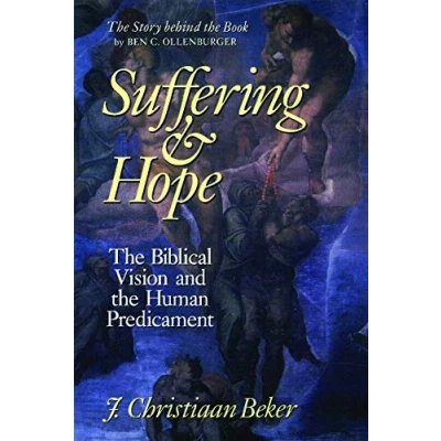 Abbildung von Suffering and Hope: the Biblical Vision Human Predicament