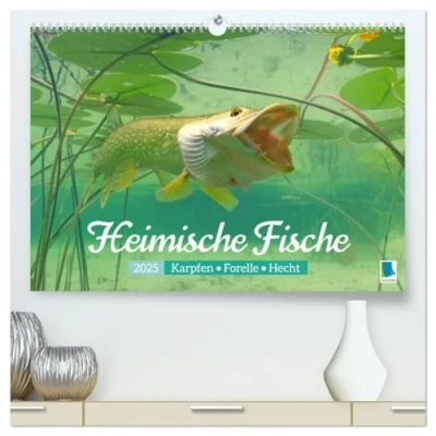 Abbildung von Heimische Fische: Karpfen, Forelle, Hecht (hochwertiger Premium Wandkalender 2025 DIN A2 quer), Kunstdruck in Hochglanz