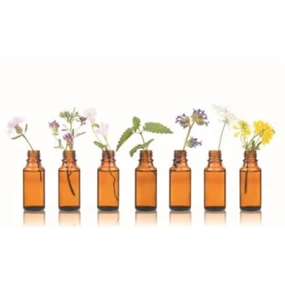 Abbildung von Zirbelkiefer Arvenöl BIO, 10ml von Dragonspice Naturwaren,