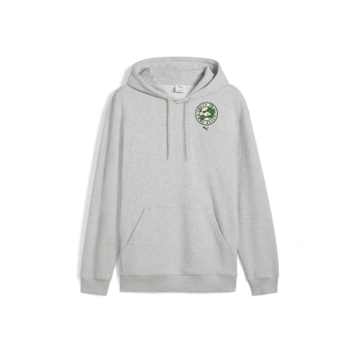 Abbildung von Puma Graphics Super Kapuzenpullover, Herren, Größe: Large, Light gray heather