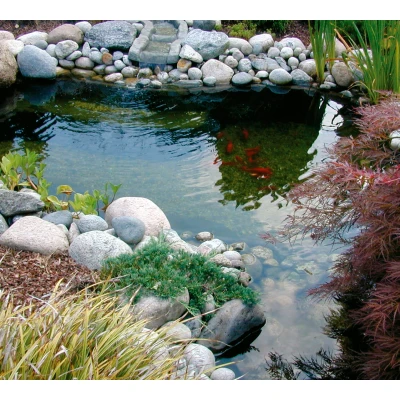 Abbildung von Teich 3800 Liter Ubbink