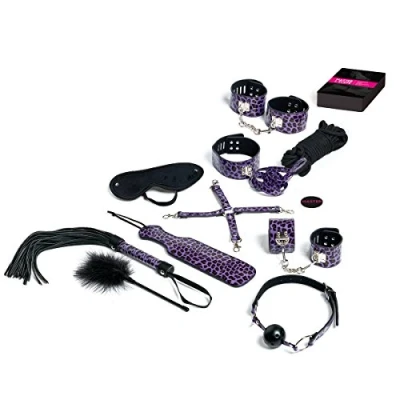 Abbildung von Tease &amp; Please Master Slave Bondage Game Spiele für Erwachsene mit 13 Sex Toys und Zubehör Geschenke Frauen Männer Partner einen aufregenden Spielabend Lila