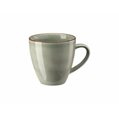 Abbildung von Rosenthal Profi Casual Moss Henkelbecher 0,35l