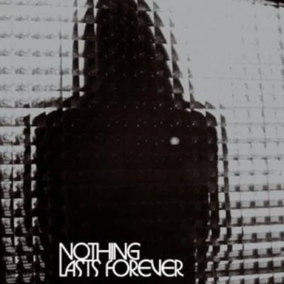 Abbildung von Nothing Lasts Forever (Ltd. Translucent Red Vinyl) [Vinyl LP]
