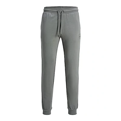 Abbildung von Jack &amp; Jones Jjigordon Jjshark Jogginghose, Herren, Größe: XL, Sedona sage