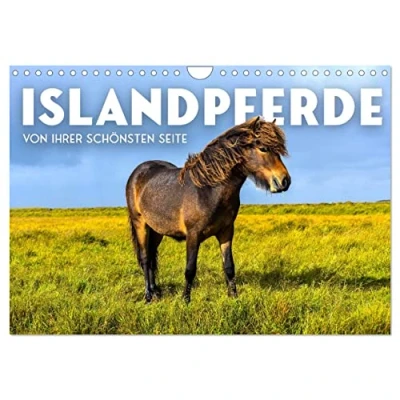 Abbildung von Islandpferde Von ihrer schönsten Seite (Wandkalender 2025 DIN A4 quer), CALVENDO Monatskalender