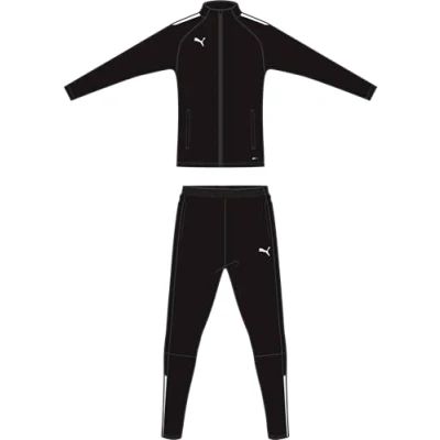 Abbildung von Puma Teamliga Tracksuit Trainingsanzug, Herren, Größe: XL, Black/white