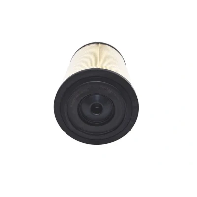 Abbildung von BOSCH F 026 400 411 Luftfilter 388 245 Filtereinsatz DAF: LF 45