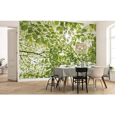 Abbildung von Komar Vliestapete &quot;Im Frühlingswald&quot;, 250x280 cm (Breite x Höhe), Wohnzimmer, Schlafzimmer