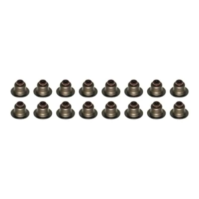 Abbildung von AJUSA 57039100 Dichtungssatz, Ventilschaft RENAULT: CLIO 2, TWINGO 1, 3, PEUGEOT: 206 Schrägheck, DACIA: Sandero I