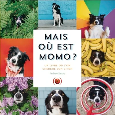 Abbildung von Mais où est Momo ?: Un livre l&#039;on cherche son chien