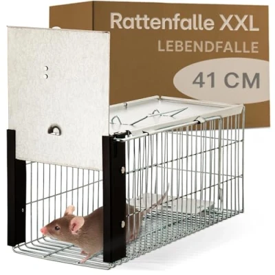 Abbildung von Praknu Lebendfalle XXL für Ratten, Siebenschläfer und Nagetiere, Extra Groß 41 cm Wiederverwendbar Sofort Einsatzbereit