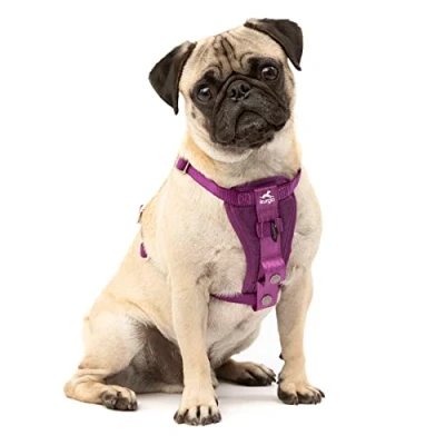 Abbildung von Kurgo TRU Fit Hundegeschirr, Crash Test erprobtes Auto Sicherheitsgurt, Für Hunde von 2 bis 5 kg, Größe XS, Lila