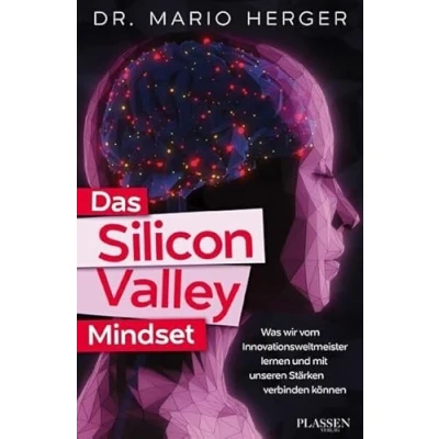 Abbildung von Das Silicon Valley Mindset: Was wir vom Innovationsweltmeister lernen und mit unseren Stärken verbinden können