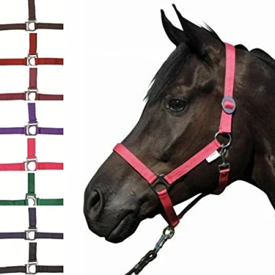 Abbildung von HKM Halfter Stars Economy Rot Pony