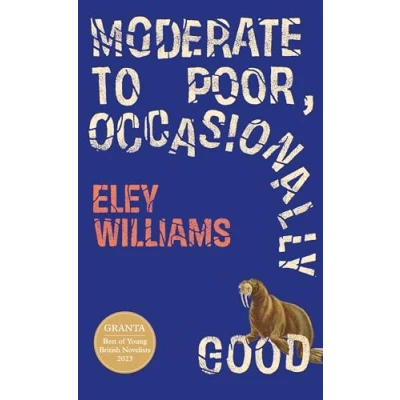 Abbildung von Moderate to Poor, Occasionally Good: the dazzling new short story collection from Granta Best Young British Novelist