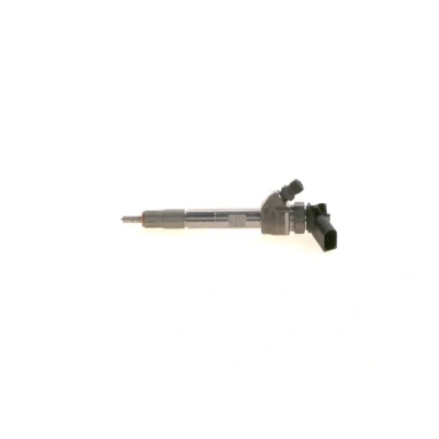 Abbildung von BOSCH 0 445 111 009 Einspritzdüse Common Rail mit Dichtring