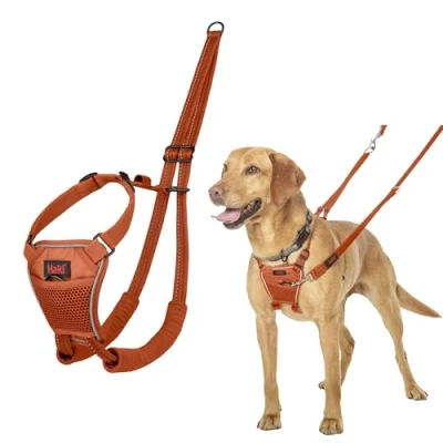 Abbildung von HALTI No Pull Anti Zug Geschirr Verhindert, dass Ihr Hund an der Leine zieht, Gepolsterter Brust und Beingurt, Reflektierendes Gurtmaterial, Einfache Anpassung Benutzung (Größe M, Dunkelorange)
