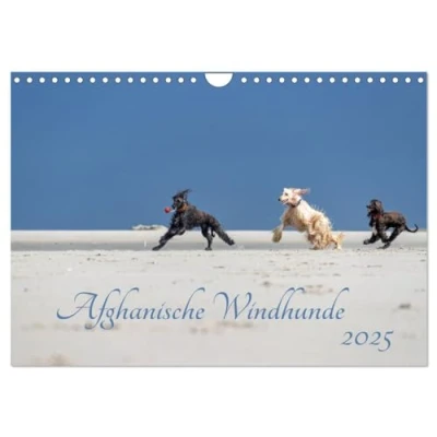 Abbildung von AFGHANISCHE WINDHUNDE 2025 (Wandkalender DIN A4 quer), CALVENDO Monatskalender