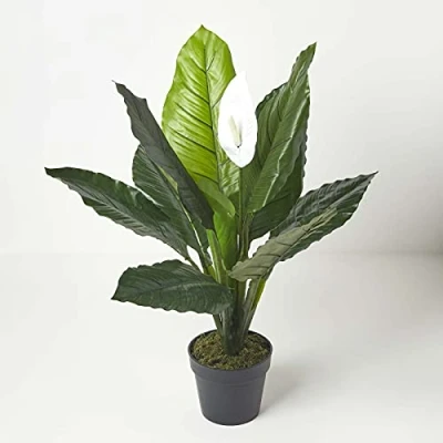 Abbildung von Homescapes große künstliche Friedenslilie im Topf, Kunstpflanze Spathiphyllum Wallisii mit weißen Blüten, Scheidenblatt, Tropische Pflanze für den Indoor Bereich, Einblatt, 90 cm hoch