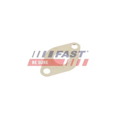 Abbildung von Dichtungssatz, AGR System FAST FT50609