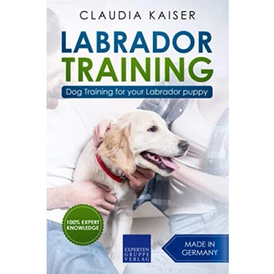 Abbildung von Labrador Training: Dog Training for your puppy
