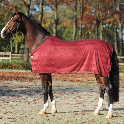Abbildung von Kavalkade Fliegendecke Stripe Bordeaux 125/175