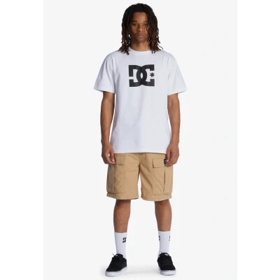 Abbildung von DC Shoes Tundra Shorts, Herren, Größe: Small, Incense