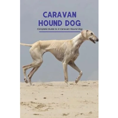Abbildung von Caravan Hound Dog: Complete Guide to A Dog