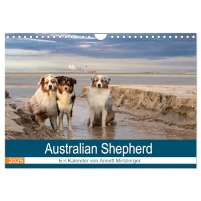Abbildung von Australian Shepherd 2025 (Wandkalender DIN A4 quer), CALVENDO Monatskalender