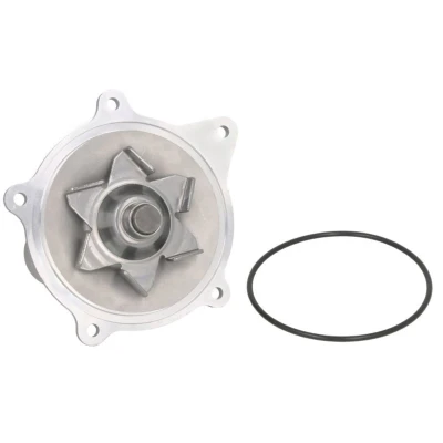 Abbildung von THERMOTEC D1Y004TT Wasserpumpe mit Dichtung mechanisch CHRYSLER: Grand VOYAGER IV, / 3, 2