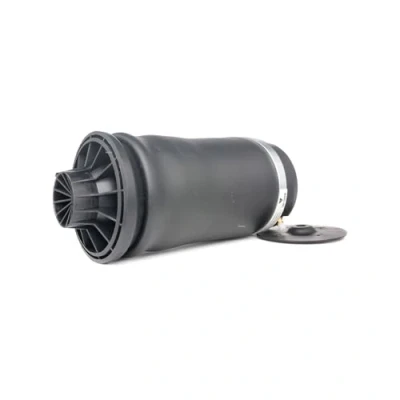 Abbildung von RIDEX 4119A0014 Luftfeder, Fahrwerk Hinterachse MERCEDES BENZ: ML Klasse, GL