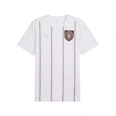 Abbildung von Puma Manchester CITY Prematch SS Vereinsmannschaften, Herren, Größe: Small, White dark jasper