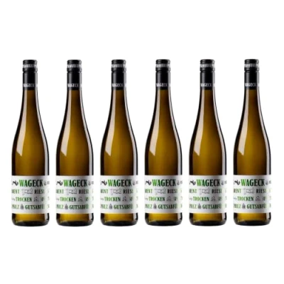Abbildung von 6x 0,75l 2023er Wageck Pfaffmann Fundament Riesling Qualitätswein Pfalz Deutschland Weißwein trocken