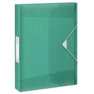 Abbildung von Leitz Esselte A4 Ablagebox, fasst 200 Blatt, 25 mm Rückenbreite, transparente Dokumentenaufbewahrungs Organisationsmappe zur Schreibtischorganisation, Colour&#039;Breeze Serie, Grün, 626260