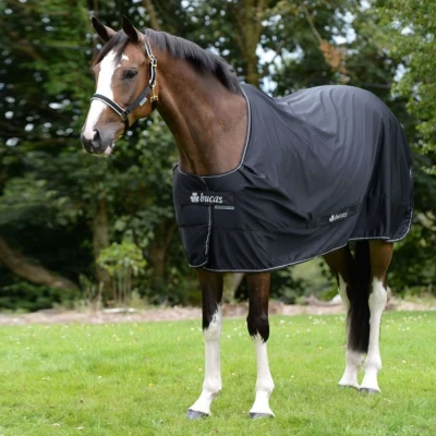 Abbildung von Bucas Power Cooler Schwarz