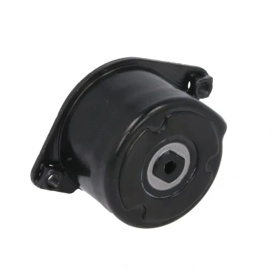 Abbildung von SNR GA350.60 Spannrolle BMW: 3 Touring, Limousine, 5 Limousine