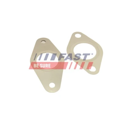 Abbildung von Dichtungssatz, AGR System FAST FT50621