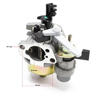 Abbildung von LIFAN Ersatzteil für 6,5 PS Benzinmotor Vergaser, leistungsstarker 4 Takt Motor, Benzin Motor Hubraum 196 ccm E10 kompatibel