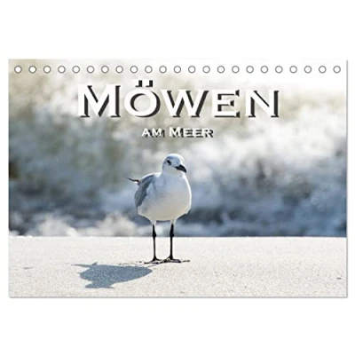 Abbildung von Möwen am Meer (Tischkalender 2025 DIN A5 quer), CALVENDO Monatskalender