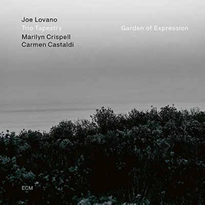 Abbildung von Garden of Expression [Vinyl LP]