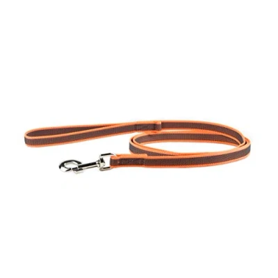 Abbildung von Julius K9 C&amp;amp G Leine,orange/grau,20mm/2m,mit Griff,max 50kg