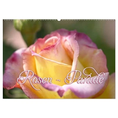 Abbildung von Rosen Parade (Wandkalender 2025 DIN A2 quer), CALVENDO Monatskalender