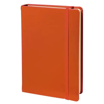 Abbildung von Quo Vadis Habana Notizbuch 15 ligne Orange