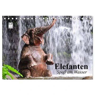 Abbildung von Elefanten. Spaß am Wasser (Tischkalender 2025 DIN A5 quer), CALVENDO Monatskalender